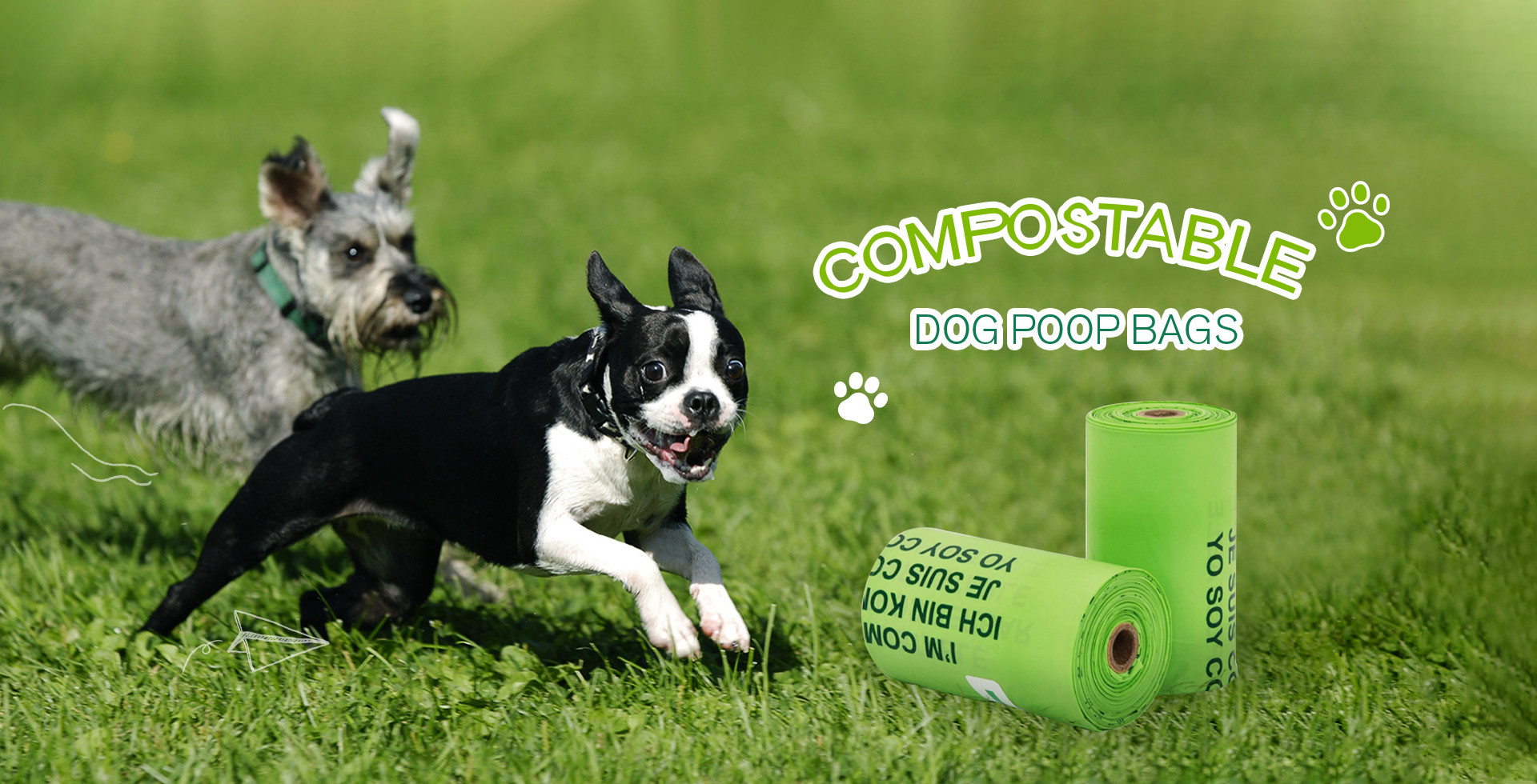 qualidade sacos de lixo compostable fábrica