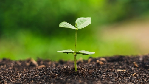 Últimas notícias da empresa sobre Austrália Alerta: Rótulos 