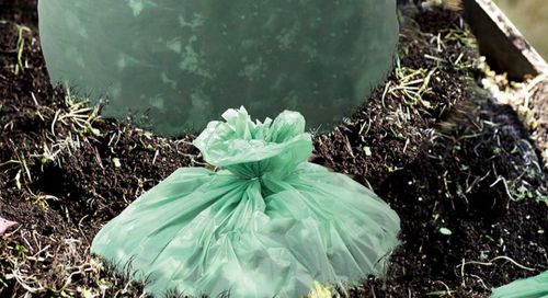 Últimas notícias da empresa sobre Sacos de plástico compostáveis são biodegradáveis? Desmistificando os mitos