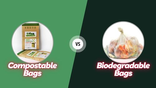 Últimas notícias da empresa sobre Compostable Bags vs. Biodegradable Bags