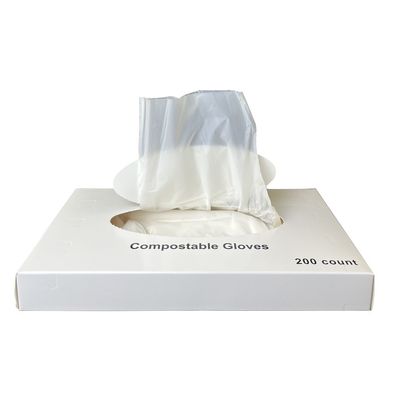 Bom preço 100% Luvas compostáveis, Luvas descartáveis e sem látex Luvas descartáveis para serviço de alimentos e bebidas, luvas para preparação e culinária de alimentos, ecológicas. on-line